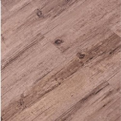 LVT Floor in Wood Color