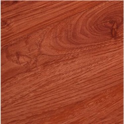 LVT Floor in Wood Color