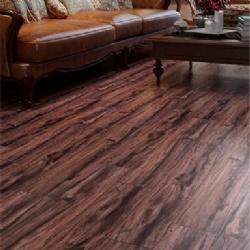 LVT Floor in Wood Color